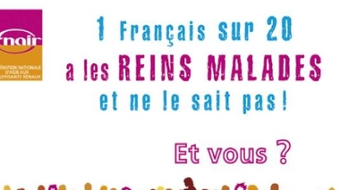 Semaine du rein : faites-vous dépister gratuitement !