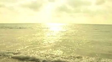 Record de taille pour un virus