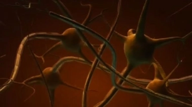 Stimuler le système nerveux pourrait guérir l’insuffisance cardiaque