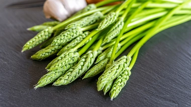 Voici pourquoi il faut faire très attention si vous mangez des asperges sauvages