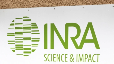 L'Inra a été fondé après la seconde guerre mondiale en France
