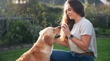 Maladie mentale : quand les chiens aident à soigner
