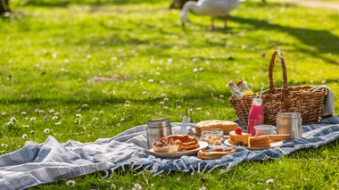 Suivez ces conseils pour un pique-nique sans risque pour la santé !