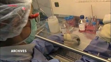 Un nouvel espoir de vaccin contre le paludisme