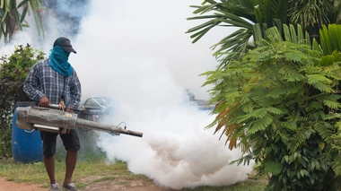 La campagne de démoustication est prévue jusqu'au 9 juillet en Côte d'Ivoire (photo d'illustration)