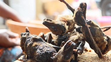 La consommation de viande de brousse peut être à l'origine de différentes maladies chez l'homme (photo d'illustration)