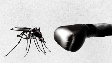 L'Algérie fait face au paludisme d'importation (photo d'illustration)