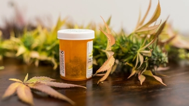 La France va expérimenter l'usage médical du cannabis