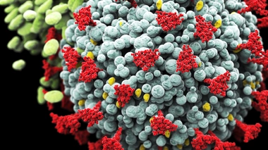 Les variants du coronavirus inquiètent en Afrique (photo d'illustration)