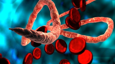 Le virus d'Ebola a fait une nouvelle victime en République démocratique du Congo (photo d'illustration)