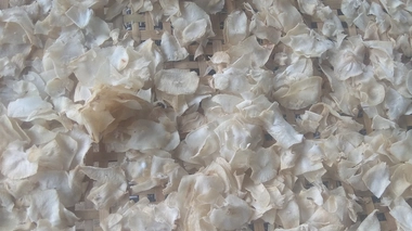 Du manioc séché (photo d'illustration)