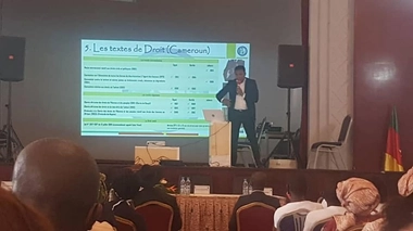 200 millions de filles sont concernées par l'excision (Crédit photo : Arnaud Ntchapda)