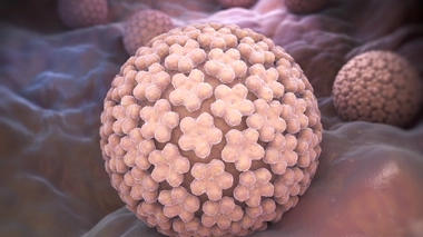 Le papillomavirus humain (VPH) est l'une des éventuelles causes d'un cancer du col de l'utérus (Illustration)