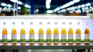 Le Covid-Organics est composé d’Artemisia et de plantes médicinales malgaches