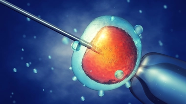 La fécondation in vitro sera plus accessible au Gabon (photo d'illustration)