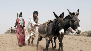Selon l'OMS, les personnes qui vivent dans les zones d’endémie ne doivent pas marcher pieds nus (photo d'illustration)