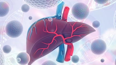 L’hépatite virale est une inflammation du foie à l’origine de différentes pathologies, dont le cancer du foie (photo d'illustration)