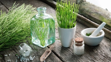 Le Cameroun n'a validé aucun remède à base de plantes contre le coronavirus (photo d'illustration)