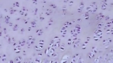 Effets "cocktail" : le défi scientifique des interactions chimiques inattendues