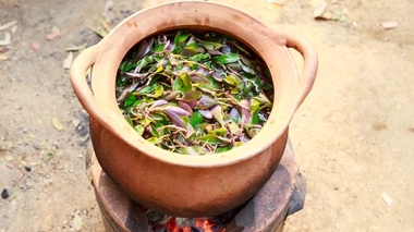 Une décoction (photo d'illustration)