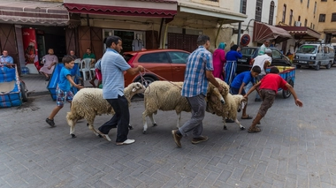A Fès, les citoyens s'apprêtent à vivre un Aïd sans précédent