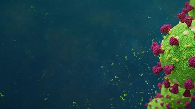 Le nouveau coronavirus pourrait faire partie du paysage pendant longtemps, avertit l'OMS (photo d'illustration)