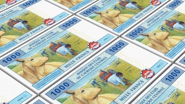 Des billets au Cameroun (BEAC, illustration)