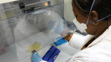 Les tests du coronavirus se multiplient dans les quatre coins du continent