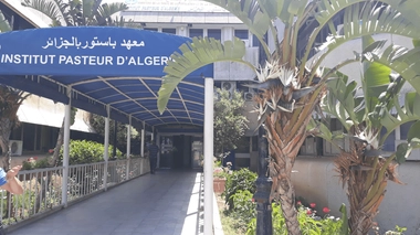 L'institut Pasteur est le centre de référence pour tester le nouveau coronavirus en Algérie (Illustration)