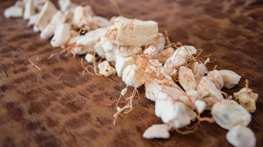 Le baobab s’impose comme un véritable aliment santé.