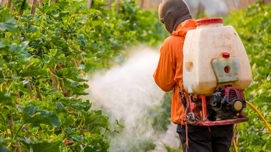 La France ne devrait plus vendre des pesticides aux pays africains