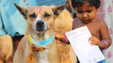 A Madagascar, la rage fait encore des ravages (Illustration)