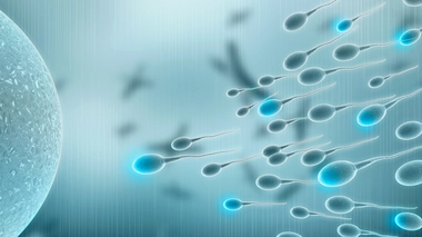 En Algérie, les hommes sont de plus en plus infertiles car leur sperme est insuffisant (Illustration)