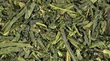 Thé vert et laser rouge contre Alzheimer