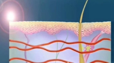 Comme l'oeil, la peau réagit à la lumière