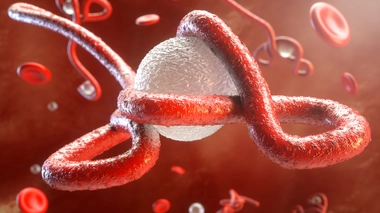 Le virus Ebola est l'agent infectieux qui provoque la maladie