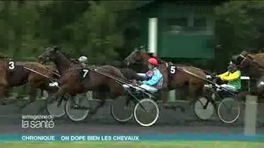 On achève bien les chevaux ?