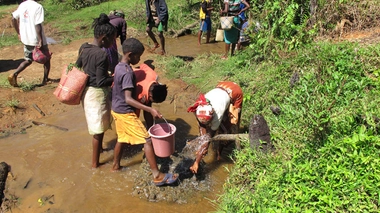 A Madagascar, 92% de la population serait touchée par la bilharzioze
