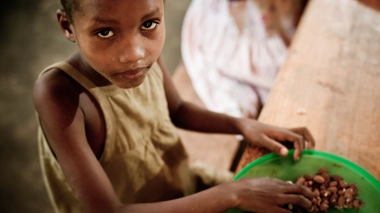 Quand le Niger rêve d'autosuffisance alimentaire !