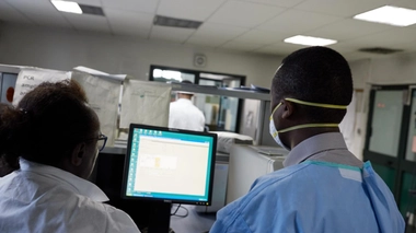 L’OMS déclare la fin de l’épisode de virus de Marburg en Guinée