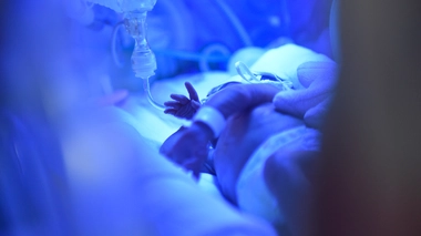 Des couveuses futuristes pour réduire la mortalité néonatale au Cameroun