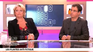 Plantes anti-fatigue : les vertus du ginseng ?