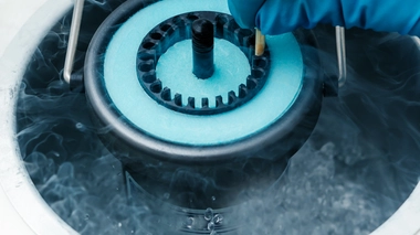 Les ovocytes sont stockées dans l'azote liquide en vue d'une grossesse ultérieure