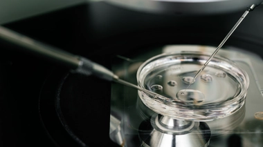 La fécondation in vitro est enfin possible à Libreville, au Gabon