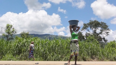 La sécheresse en Afrique a un impact néfaste sur la productiviité agricole