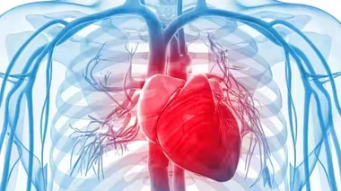 Semaine du cœur à Parakou : Voici le programme de la 11ème édition