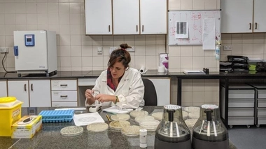 La Dre Nada Malou de la Fondation MSF évalue l’application Antibiogo