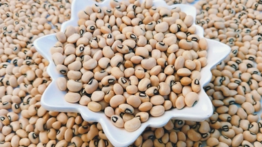 Le niébé est très consommé en Afrique de l’Ouest et du Centre