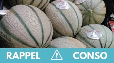 Ne consommez pas ces melons rappelés dans toute la France