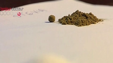 La stevia : une alternative à l’aspartame ?